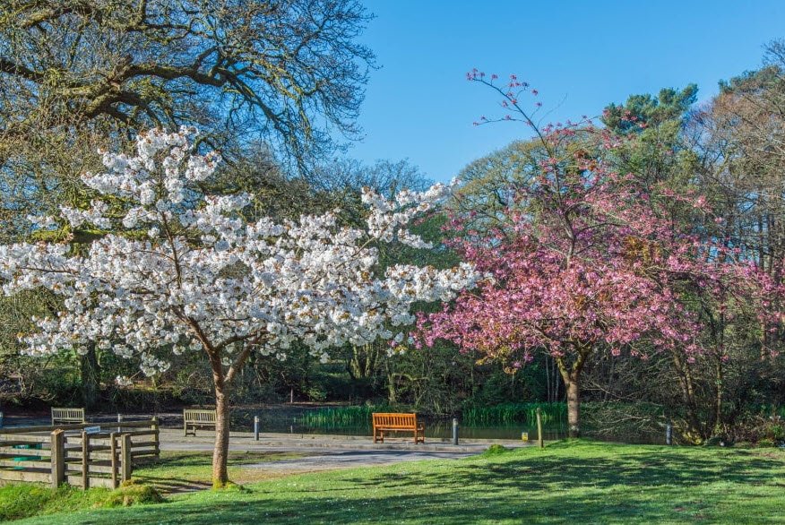 Bryngarw Country Park, United Kingdom